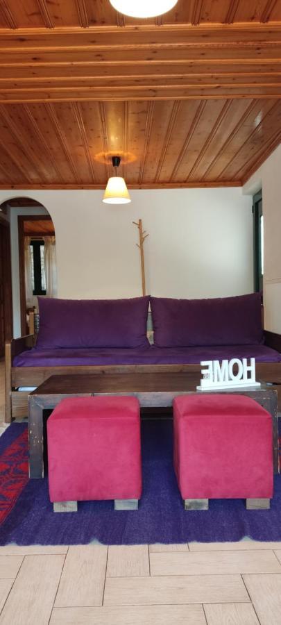 Kristis'S Homes - "Beautiful Home" In Dimitsana Eksteriør billede